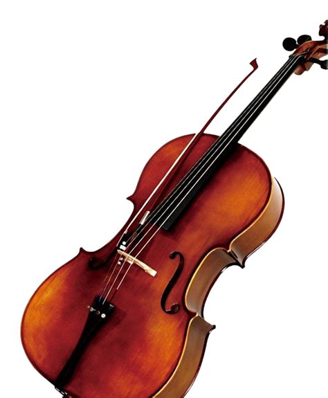 Musical Instrument Cello PNG - PNG All | PNG All
