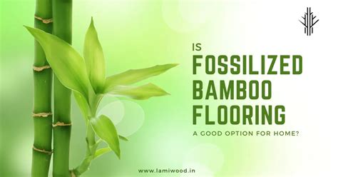 Is Fossilized Bamboo Flooring a Good Option for Home? - Lamiwood