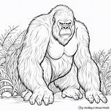 Ape Coloring Pages  Free & Printable sketch template
