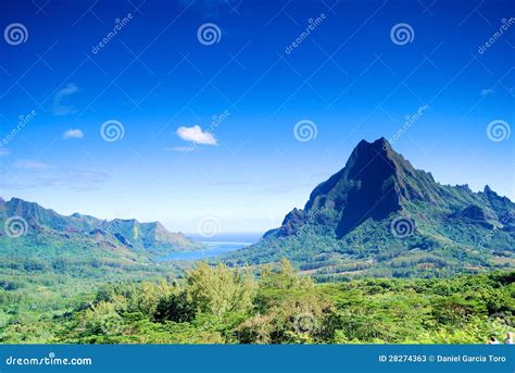 Mountain in Moorea stock image. Image of tourism, palm - 28274363