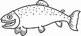 Cartoon Fish To Color / CraftsActvities And Worksheets For Preschool  sketch template