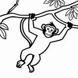 Swinging monkey coloring Page Lulu Pages sketch template
