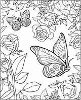 Butterfly Coloring Pages For Adults  Best Kids sketch template