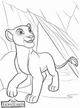 Lion Guard Coloring Pages  Best For Kids sketch template