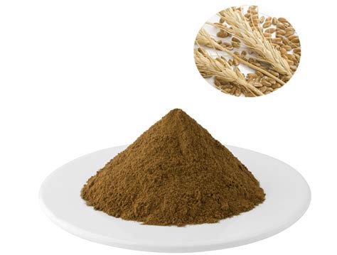 Barley Malt Extract Powder Manufacturers and Supplier - Factory Price ...