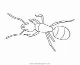 Queen Ant Coloring Page For Kids  Free Pheasants And Partridges sketch template