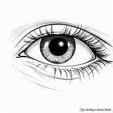 Eye Coloring Pages  Free & Printable sketch template
