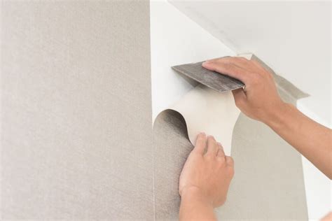 Professional Wallpaper Installation Services | TheInstallers