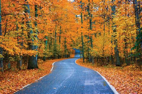 12 of Michigan’s most dazzling fall color drives - mlive.com