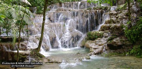 Welcome to Palenque Park, tours, lodging and transportation