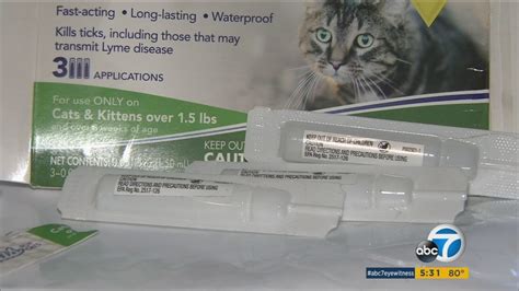 Ventura woman calls for flea med recall after 2 of her cats almost died due to mix-up - ABC7 Los ...