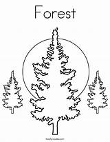 Coloring Pages Of Pine Trees At GetColoringscom  Free Printable sketch template