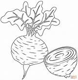 Beetroot coloring Page  Free Printable Coloring Pages sketch template