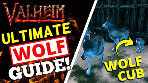 Valheim - How To Tame + Breed Wolves! WOLF GUIDE! - Game videos