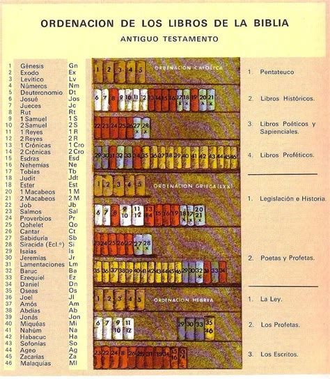 Divisiones y partes de la Biblia