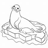Great Seal Coloring Page Coloring Pages sketch template