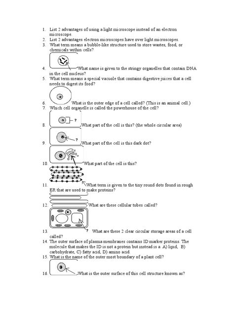 Cell Structure Quiz | PDF | Organelle | Cell (Biology)