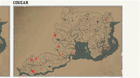 Red Dead Redemption 2 Cougar Spawn Locations - Rectangle Circle