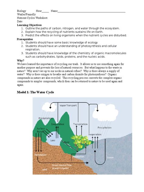 nutrient cycle worksheet | Carbon Dioxide | Water