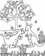 Mother And Baby Kangaroo sketch template
