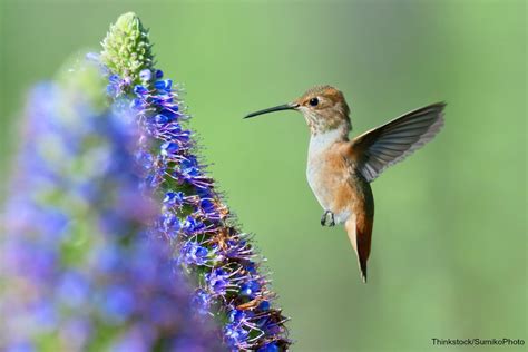 How To Enjoy Your Visit To The Rio Grande Nature Center