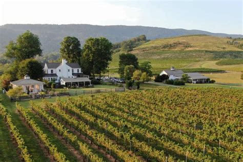 15 Stunning Wineries Near Charlottesville, Virginia to Visit in 2022 (2022)