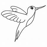 Premium Vector  Cute humming Bird Cartoon coloring Page Illustration sketch template