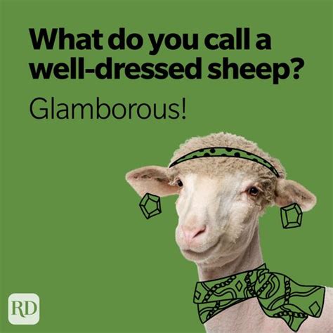 36 Sheep Puns You Haven't Herd Before | Reader's Digest