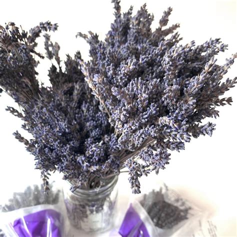 Dried Lavender Bouquet - Etsy