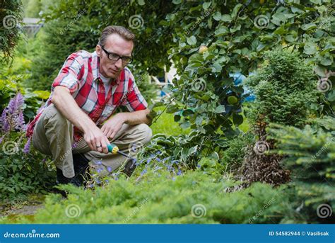 Man loosen the soil stock photo. Image of plant, gardening - 54582944