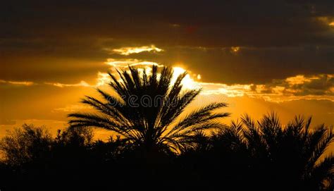 Desert landscape Sahara stock image. Image of scene - 220176035