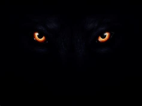 Evil Wolf Eyes Wallpapers - Top Free Evil Wolf Eyes Backgrounds - WallpaperAccess