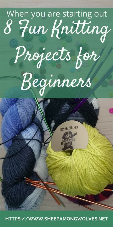 When you are starting out: 8 fun beginner knitting projects - Sheep ...