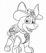 Printable Paw Patrol Coloring Pages sketch template