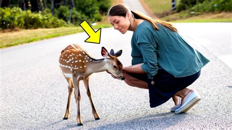 This Woman Helped a Baby Deer on the Road. Days Later, It Came Back With Company! - YouTube