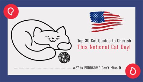 Top 30 Cat Quotes to Cherish This National Cat Day! - BudgetPetWorld