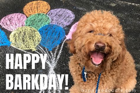 20 Happy Birthday Dog Memes That Will Make Your BarkDay Even Brighter - Happy-Go-Doodle®