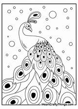 Printable Peacocks Coloring Pages Updated 2021 Templates  sketch template