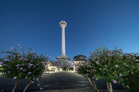 Busan Tower Observatory Ticket | Miki Travel Asia