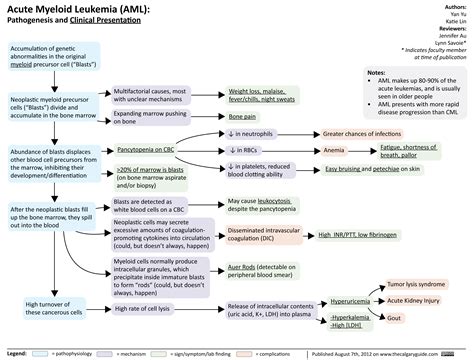 Patofisiologi Leukemia