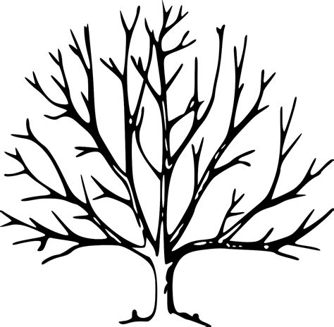 SVG > arbre sans feuilles visage esthétique - Image et icône SVG gratuite. | SVG Silh