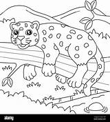 Jaguar Coloring Page For Kids Stock Vector Image & Art  Alamy sketch template