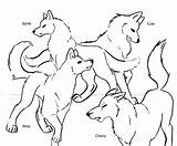 Sleeping Wolf Pack Coloring Pages sketch template