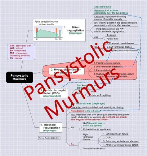 4. Heart Auscultation. Pansystolic Murmurs. - Etsy UK