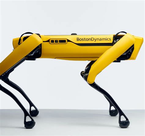 This Intelligent Robot Dog Helps Developers Learn