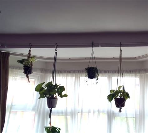 10 Hanging Plant DIY Hacks for Renters