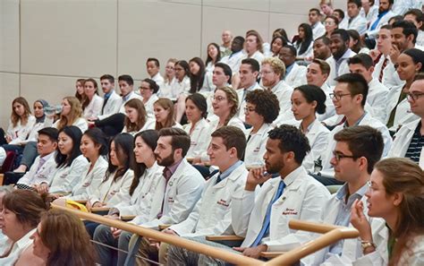 Alumni on the Skills Doctors Need | Harvard Medicine Magazine