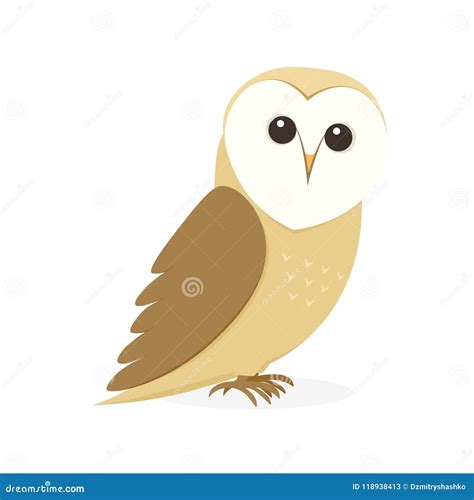 Cartoon Barn Owl stock vector. Illustration of nature - 118938413