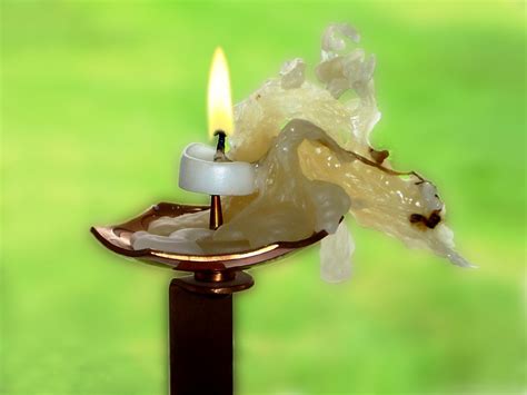 Free Images : leaf, flower, green, insect, flame, amphibian, burn, close up, candlelight, wax ...