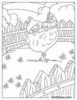 Chicken And Rooster Coloring Pages sketch template